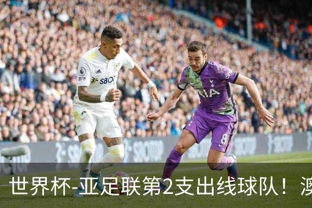 世界杯-亚足联第2支出线球队！澳大利亚0-0巴拉圭获小组第2
